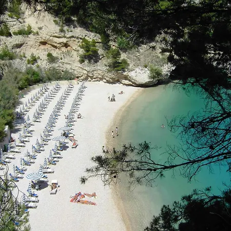 I Delfini Dal 5 Al 12 Agosto *