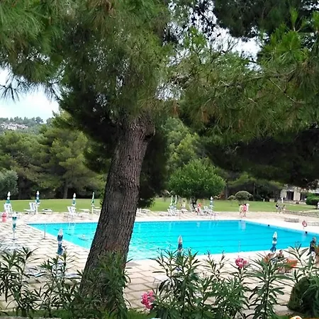I Delfini Dal 5 Al 12 Agosto Vieste
