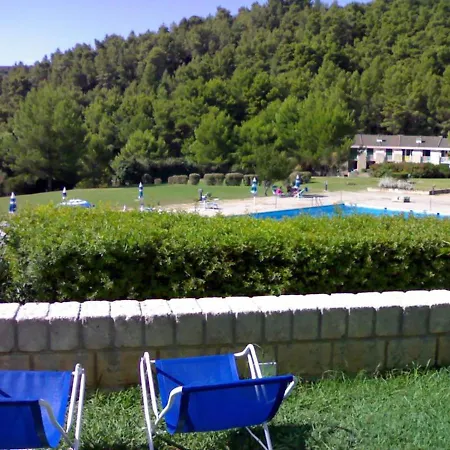 I Delfini Dal 5 Al 12 Agosto Vieste