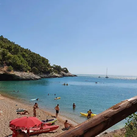 I Delfini Dal 5 Al 12 Agosto * Vieste
